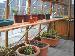 GARDEN SHEDS - Staging