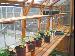 GARDEN SHEDS - Shelving