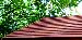 SHEDS - Cedar slatted roof