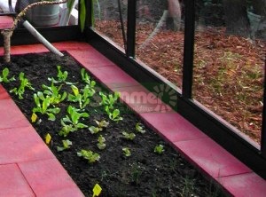 Paving Slab Bases for Greenhouses - Supplied and Built Paving Slab Bases for Greenhouses - Supplied and Built